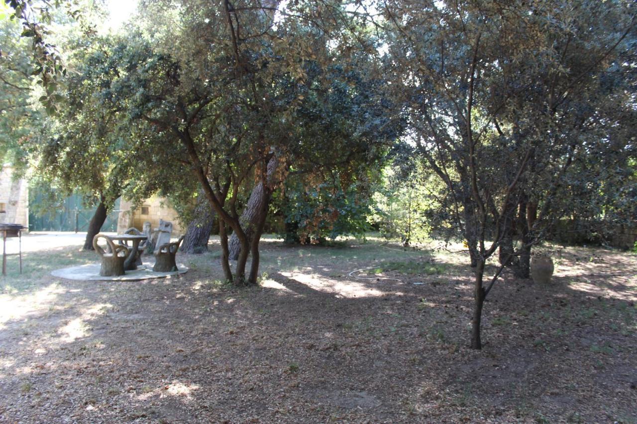 Le Mas De Lucien Entre Arles, Nimes, Avignon. Beaucaire (Gard) Exterior foto