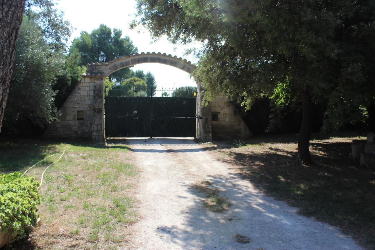 Le Mas De Lucien Entre Arles, Nimes, Avignon. Beaucaire (Gard) Exterior foto