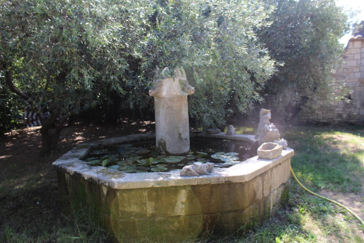 Le Mas De Lucien Entre Arles, Nimes, Avignon. Beaucaire (Gard) Exterior foto