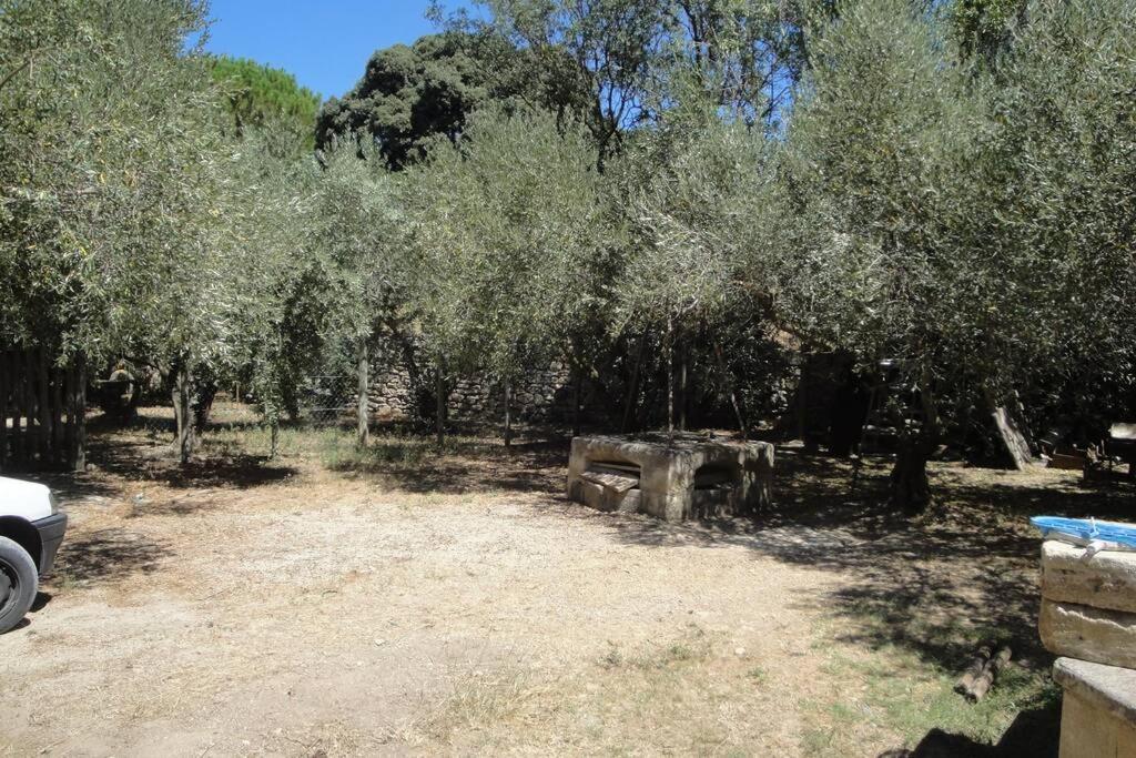 Le Mas De Lucien Entre Arles, Nimes, Avignon. Beaucaire (Gard) Exterior foto