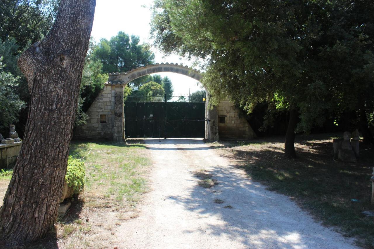 Le Mas De Lucien Entre Arles, Nimes, Avignon. Beaucaire (Gard) Exterior foto