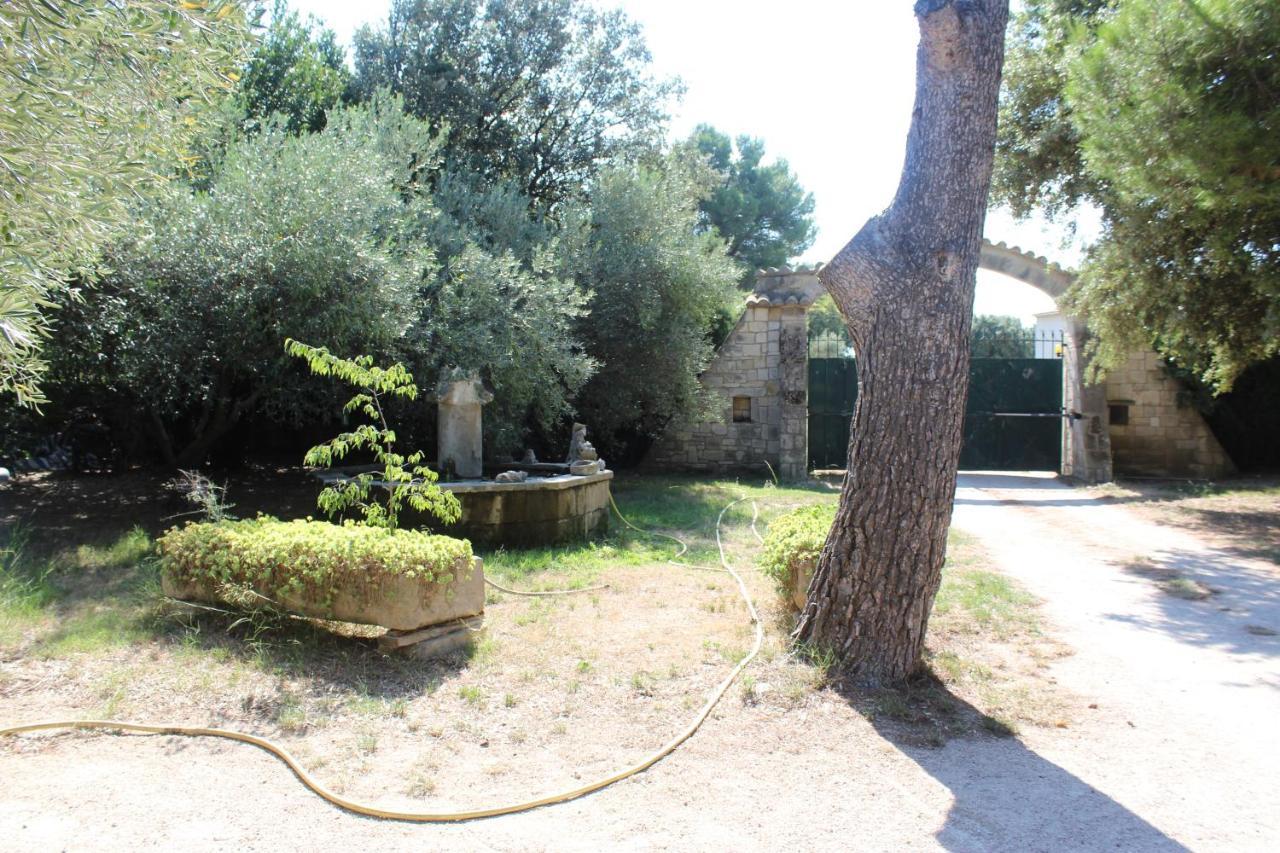 Le Mas De Lucien Entre Arles, Nimes, Avignon. Beaucaire (Gard) Exterior foto