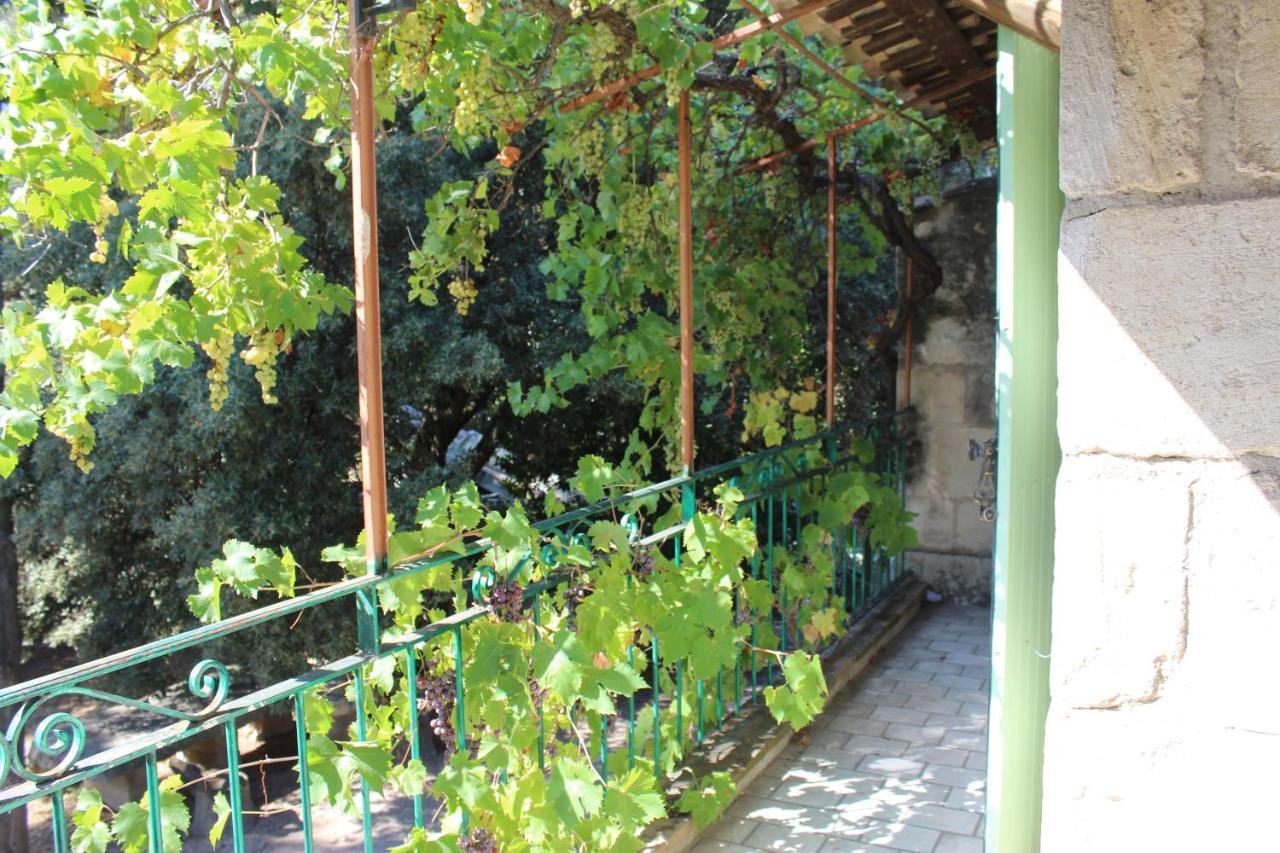 Le Mas De Lucien Entre Arles, Nimes, Avignon. Beaucaire (Gard) Exterior foto